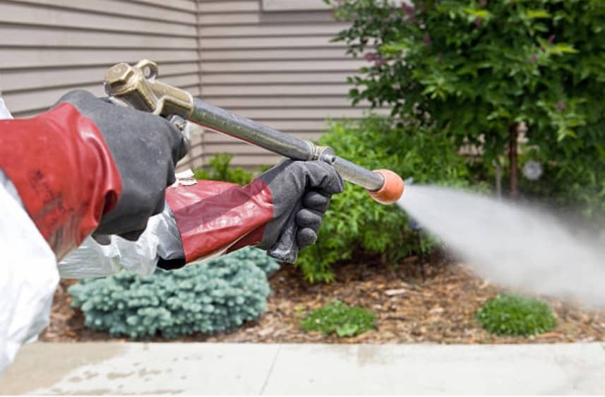 Pest spray newtown